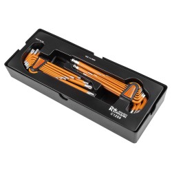 Wkład wkładka do szafki klucze L-kształtne imbus 1.5-10 Torx T10-T50 kpl. Richmann