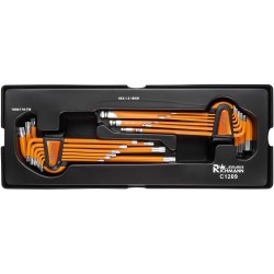 Wkład wkładka do szafki klucze L-kształtne imbus 1.5-10 Torx T10-T50 kpl. Richmann