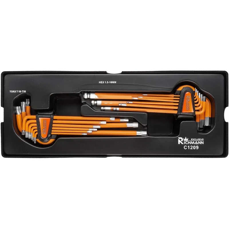 Wkład wkładka do szafki klucze L-kształtne imbus 1.5-10 Torx T10-T50 kpl. Richmann