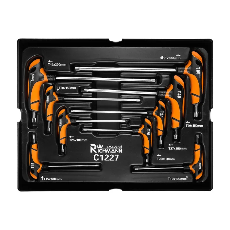 Wkład wkładka do szafki klucze TORX typu T kpl. 9 el. Richmann
