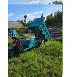 Elektryczny pojazd trójkołowy tuk tuk z wywrotką E-TUK Cargo 800W 32Ah