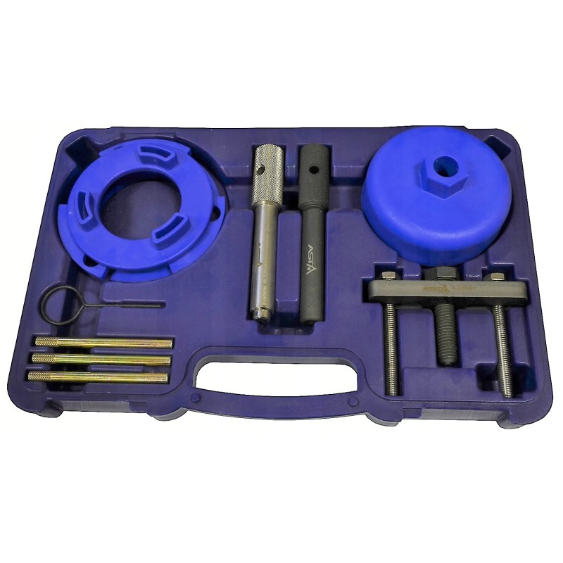 Blokada ford fiat jaguar psa 2.0 2.2 2.4 3.2 tddi tdci