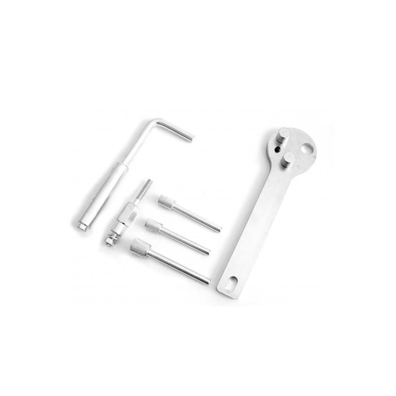 Blokada rozrządu ford 2.2 tdci c01 0179